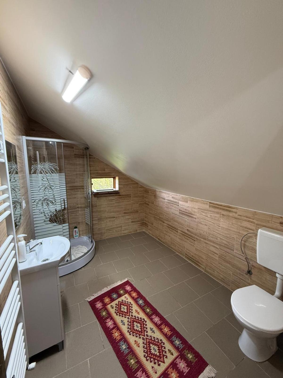 Casa Dunca Villa Sighetu Marmaţiei Dış mekan fotoğraf